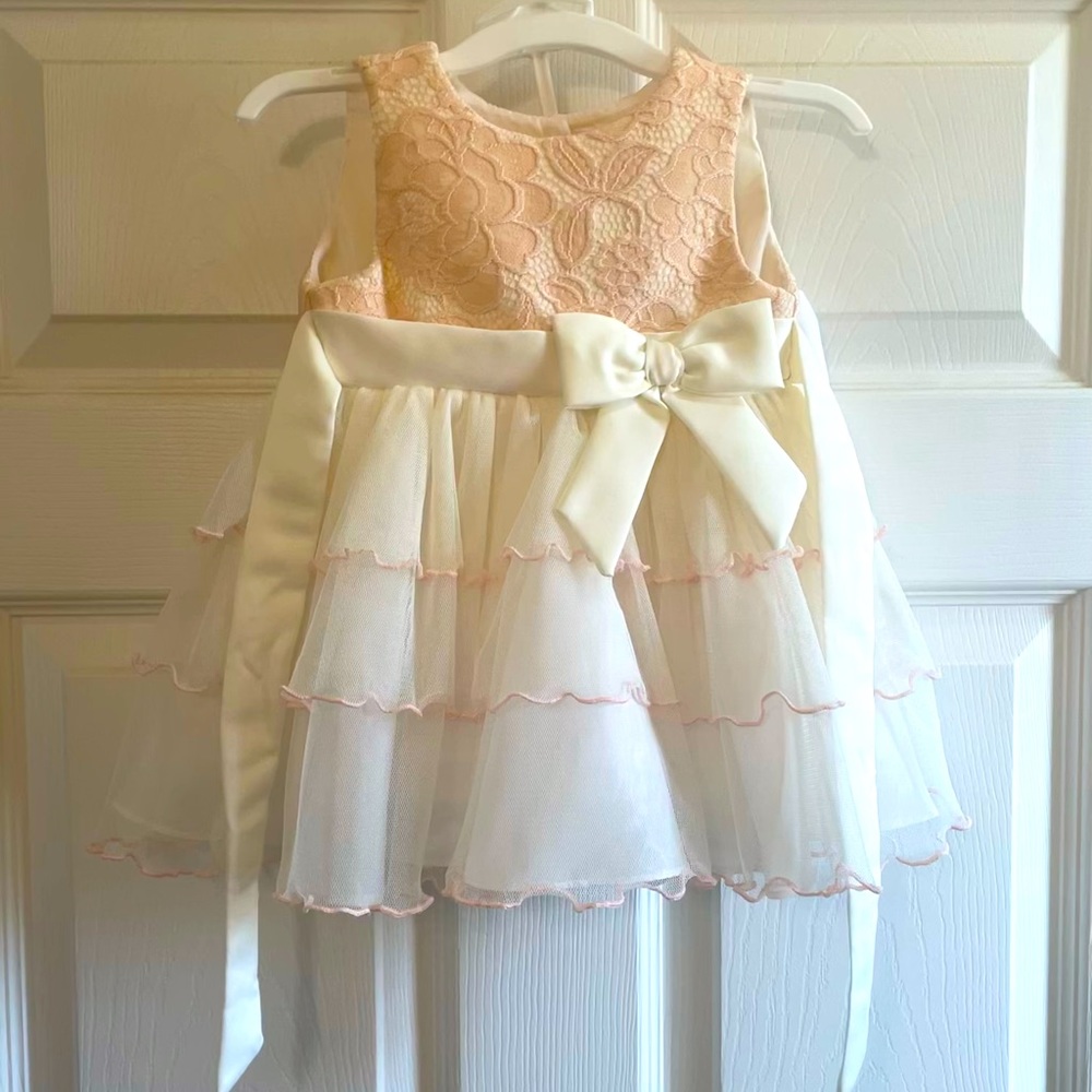 NWOT Embroidered flower dress with ruffles. Sz 3-6 month. Light pink and ivory.